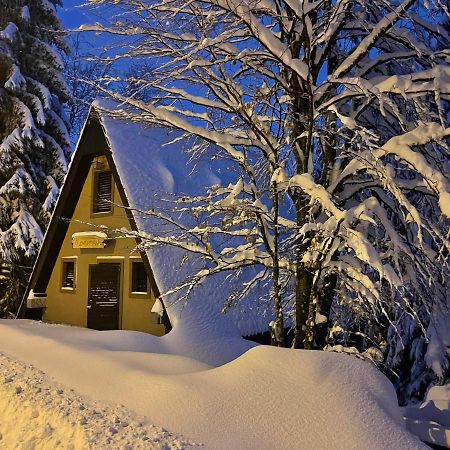 Holiday Home Kragovic Kopaonik Kültér fotó