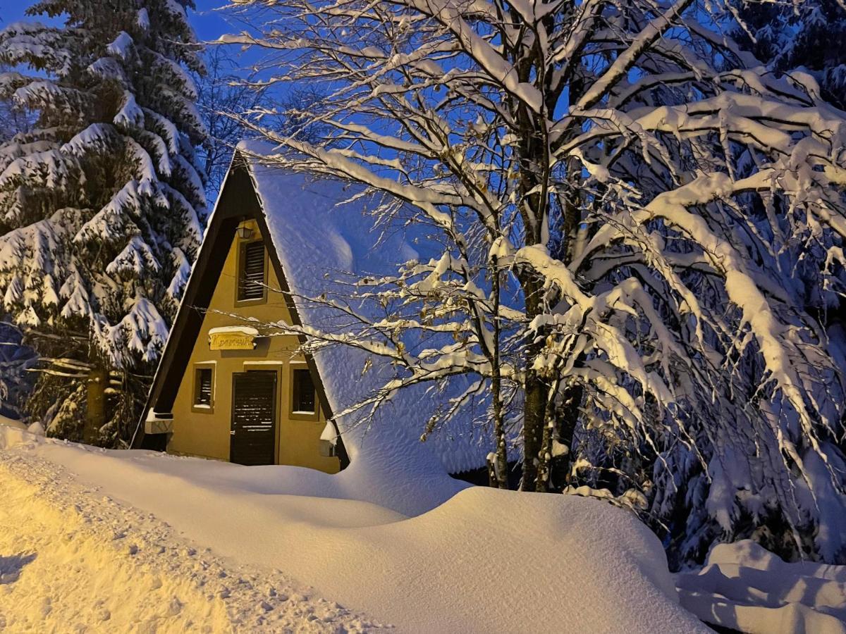 Holiday Home Kragovic Kopaonik Kültér fotó