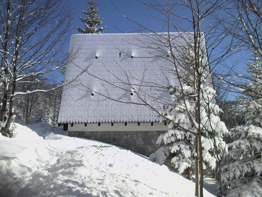 Holiday Home Kragovic Kopaonik Kültér fotó